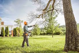 Best Tree Disease Treatment  in Greenfields, PA